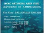 The BALANTRAE ANGLERS Naming Rights Certificate