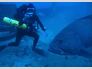 Diver Jack meets a Warsaw Grouper on the Wickstrom artificial reef