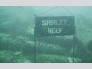 SHIRLEY REEF Naming Rights Sign