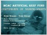 Naming Rights Certificate for THE HEAP