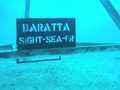 BARATTA "SIGHT-SEA-ER"